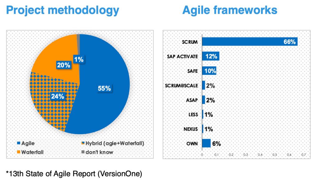 Agile SAP_Frameworks