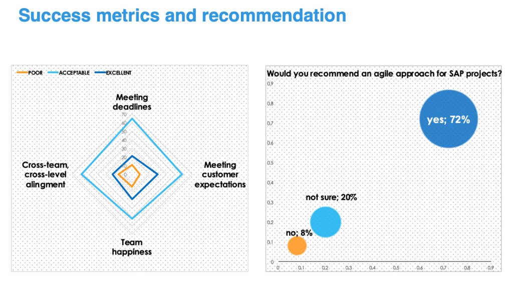 Agile SAP_Metrics