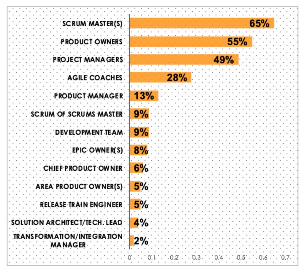 Agile SAP_Roles