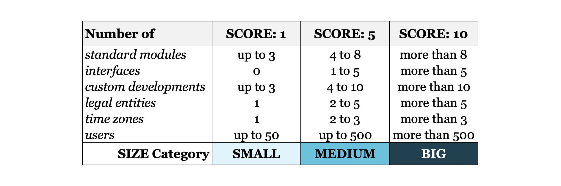 SAP projects types by project size_Agilon GmbH