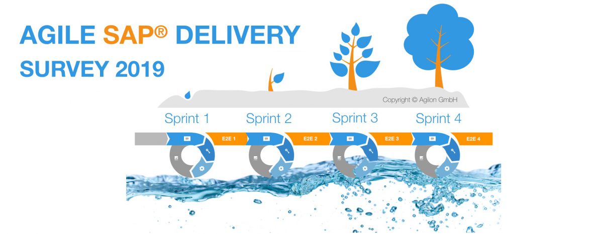 Sap Agile Methodology